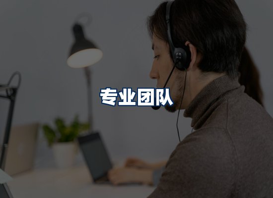 专业团队