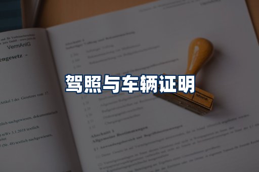 车辆证明展示